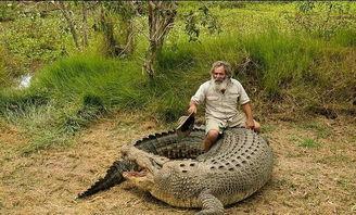 鳄鱼吃瓜搞笑视频大全下载,笑料横生视频大全下载