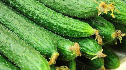 乳瓜花怎么吃最好吃视频,视频教你最佳食用方法