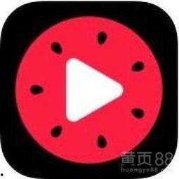 吃罗汉瓜视频教程下载安装,轻松学会下载安装与制作美味罗汉瓜