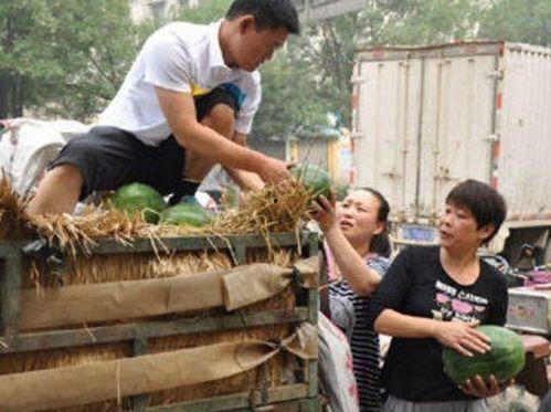 金沙县吃瓜事件视频,一场引发热议的网络风波