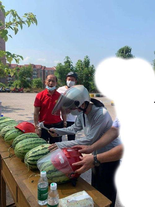 奉节吃瓜事件真相视频,揭秘真相背后的惊人内幕