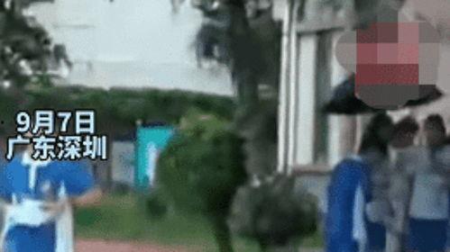 井川淋雨吃瓜事件视频下载,揭秘网络事件背后的真相