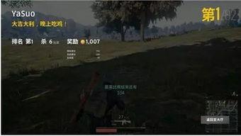 麻瓜龙吃鸡完整视频,一场奇幻与现实交织的冒险之旅