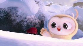 带你吃瓜搞笑视频滑梯版,欢乐无限，笑料横生！