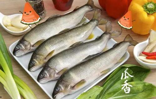 绿头鱼搞笑吃瓜视频下载,视频下载笑翻天